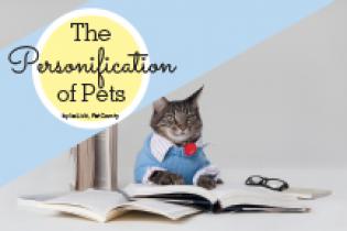 The Personification of Pets