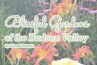 Blissful Gardens