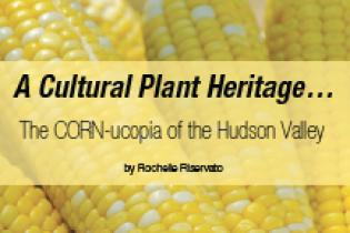 The CORN-ucopia of the Hudson Valley