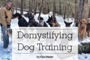 Hudson Valley Dog Training