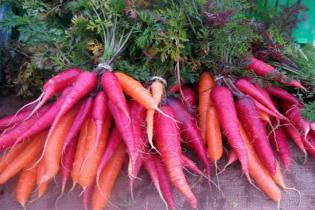 Mid-Hudson Valley Farmers' Markets