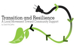 Transition and Resilience