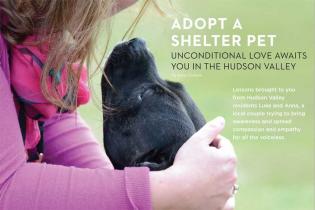 SHELTER PET ADOPTION