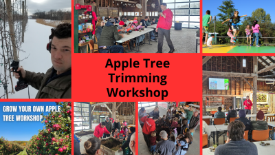 Apple Tree Trimming Workshop at Hurds Family Farm