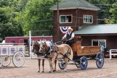 Delaware County Fair