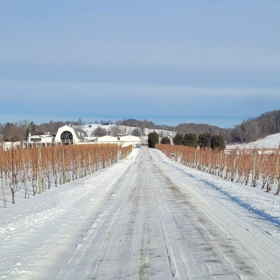 Soup, Chili and Live Music at Millbrook Winery