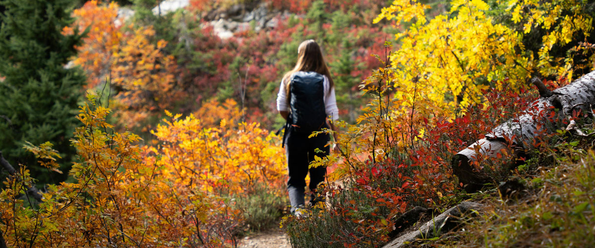 Enjoy the Outdoors