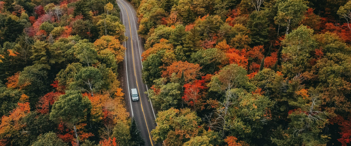 Explore our Towns