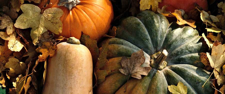 Autumn 2026